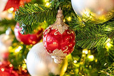 《全面战争: 战锤3》震旦天朝的世界中字预告